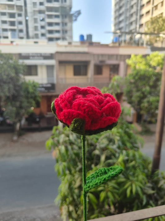 Forever Rose Crochet Flower